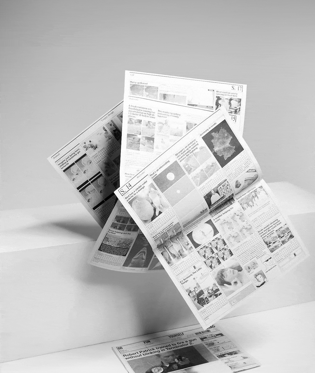 Arbeitsproben Juliane Lipp 